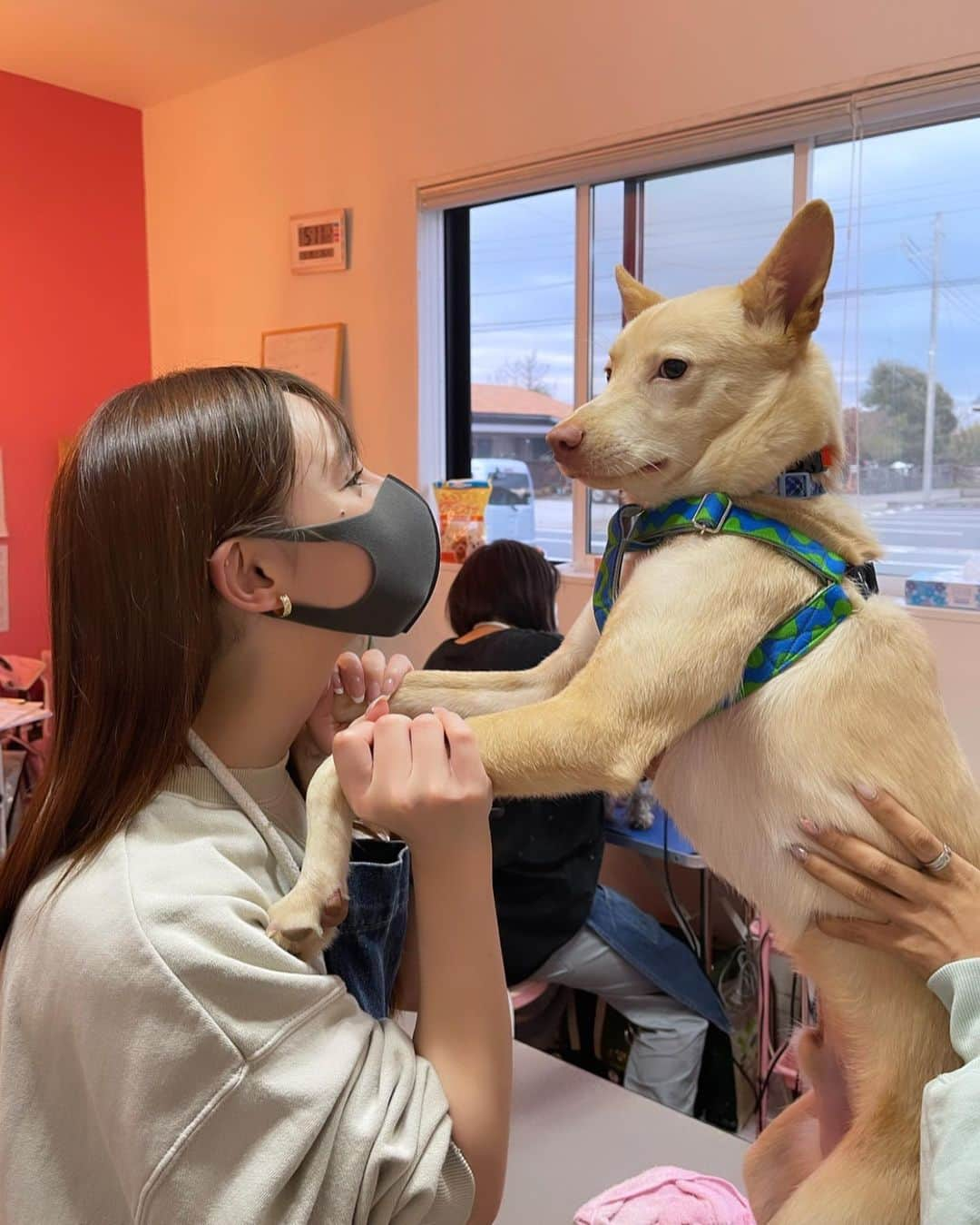 ダレノガレ明美さんのインスタグラム写真 - (ダレノガレ明美Instagram)「@petsalon_pinkbeach  へボランティアしに行きました☺️ トリミングのお手伝いで保護されたばかりで 毛玉もすごいし、フケもすごく、体にたくさんうんちがついていたので、私はシャンプーとリンス、乾かすところまで✨ バリカンは怖いのでプロの方に！ そのあと、たくさんワンちゃんとドックラン遊び周りました😉🌼 たくさんの方に保護された わんちゃんや猫ちゃんの存在を 知ってほしいです🥺 みんな、本当に可愛くて元気いっぱいです✨  あ、海も近くにあるから少しいきました⛱ 寒かったなぁー🤣  洋服は　 @alexiastam_official  可愛いし、動きやすかった💋」3月19日 21時33分 - darenogare.akemi