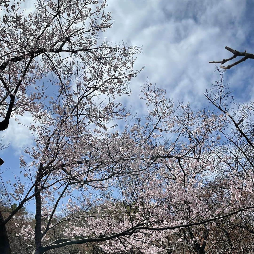 行正り香さんのインスタグラム写真 - (行正り香Instagram)「沢山のお花が咲く東御苑に散歩に来ました。みんな可愛いわあ。#行正り香 #rikayukimasa #東御苑」3月20日 11時53分 - rikayukimasa