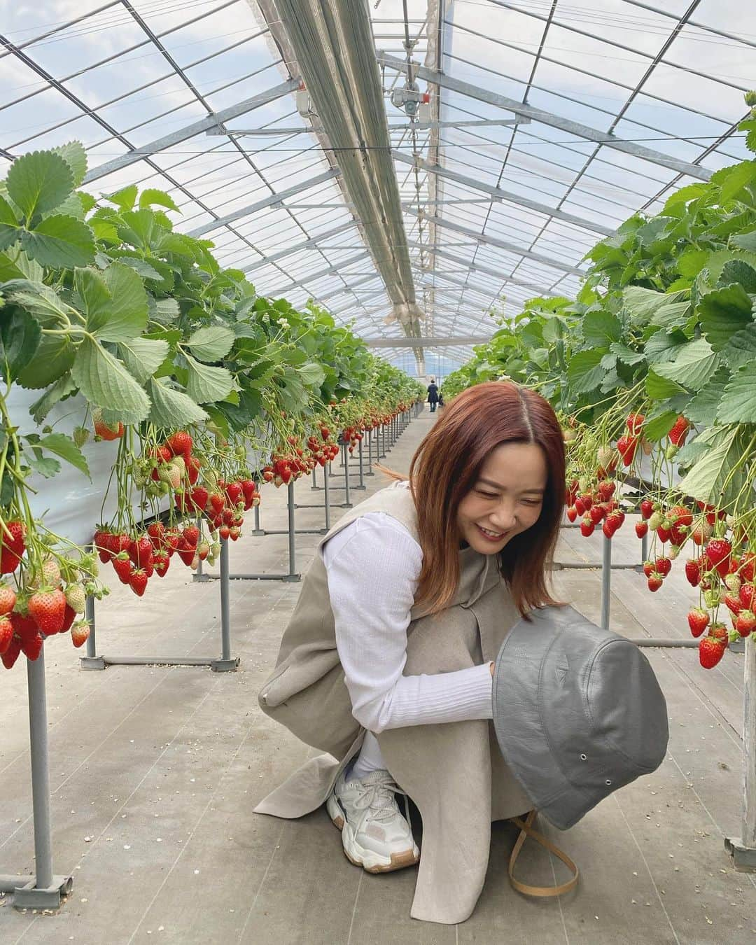 田中里奈さんのインスタグラム写真 - (田中里奈Instagram)「念願のいちご狩り🍓🍓  週末のいちご狩りという楽しみな予定が、私の最近の日々を照らしてくれた気がする。 あれこれ考えて頭がずーんと重くなってたけど、今日ゆるりと過ごして少し軽くなったかなー！  色々こんがらがって絡まる日もあるけど、少しずつほどいていければいいよね〜 …って、あんまり焦らなくなったのも、大人になったからなのでしょうか🙆🏻‍♀️  色んな自分を許せるようになったのは、少なからず心地よいことだ😌  #いちご狩り #苺 #🍓#たなか旅メモ #千葉 #白久農園」3月20日 22時08分 - tanakaofficial