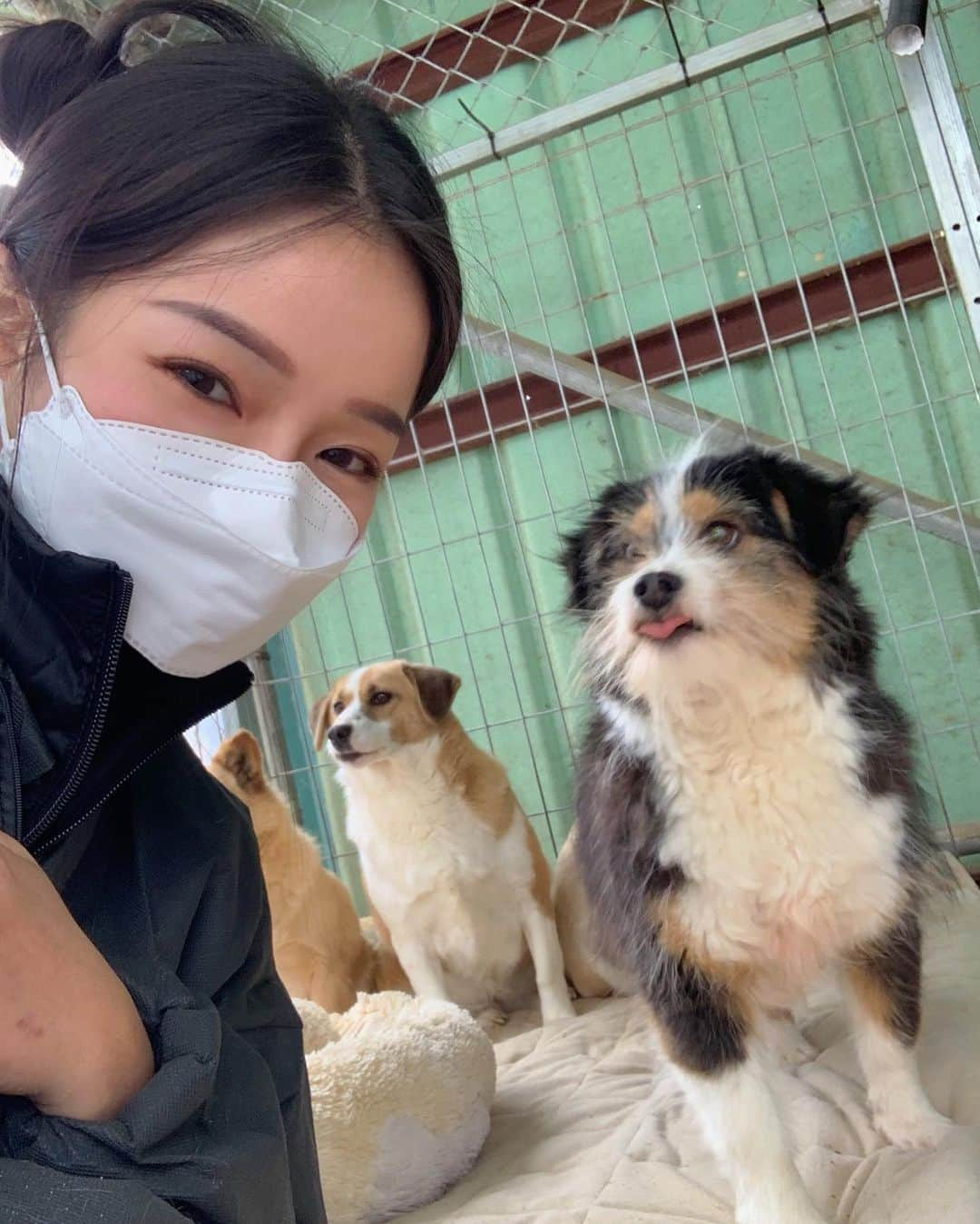 カン・ギョンミンさんのインスタグラム写真 - (カン・ギョンミンInstagram)「자주 오겠다고 했는데..🐶 3년만에 다시 찾아간 #애린원  봉사 하시고 싶다는 분들이 많아서 후기랑 정보 남겨요!  갑자기 애린원 아이들이 생각나서 부릉이 끌고 왕복 3시간 포천까지 다녀왔어요! 아직도 포천애린원에만 400마리 정도의 아이들이 있는 걸 보고 왜 3년만에 왔는지 미안했습니다ㅠ..포천,보은 보호소에 총 1000마리 정도 있다더라구요.! 그래도 3년 전 보다는 시설이 깨끗해지고 아이들 지내는 공간이 넓어진거 같아서 봉사자 분들에게 넘 감사했어요 🥲 그래서 웃으면서 봉사했고 또 한 번 자주 와야지! 하고 다짐했슴니다..!   [ 준비물 ] 이번엔 봉사를 위한 옷, 장갑, 장화까지 동생이랑 완벽하게 준비해서 가니까 더 좋더라구용 (옷, 장갑은 네이버로 검색해서 구매했고 장화는 집 근처 장화시장에서 구매했어요.) 방진복,마스크,점심(물), 여벌 옷 등 챙겨가시는 걸 추천드려요.  [ 점심시간 ] 점심시간에 먹을 도시락도 포장해서 갔고 음식물과 쓰레기는 다 챙겨서 돌아왔어요!  [ 후원이 필요해 보였던 물품 ] 세탁 된 극세사 이불 ( 솜,니트,메트리스 X )  [ 봉사 방법 ] 네이버 카페 '비글구조네트워크(애린원)'에 가입 > 카테고리별 정리된 내용 신청 및 필독 > 봉사 예약 글에 봉사 예약  [ 봉사 시간 ] 9-6시! 특히 오전 시간대에 봉사자분들의 손길이 필요하다고 합니다.  요즘 예약 스케줄 보니까 .. 좀 많이 비어있어서 많이들 봉사 가시면 좋겠네요!🙏🏻  [ 애린원 계정 ] @aerinwon_angel  @aerin_adopt   #봉사 #유기견봉사」3月20日 23時26分 - kkmmmkk