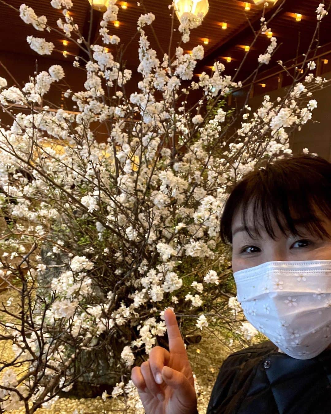北斗晶さんのインスタグラム写真 - (北斗晶Instagram)「いい季節になってきたね〜  #桜  #春」3月21日 14時55分 - hokutoakira_official