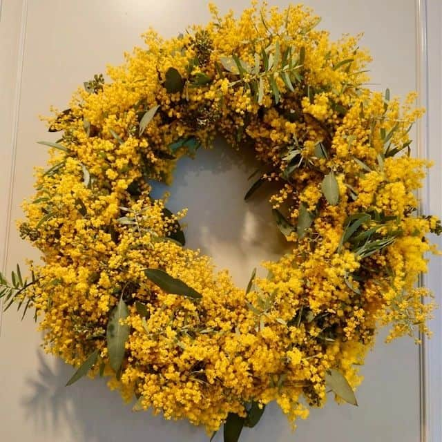 大地真央さんのインスタグラム写真 - (大地真央Instagram)「お友達宅で咲いた 🌼ミモザ🌼をリースとスワッグにしてプレゼントしてくれました♪(๑ᴖ◡ᴖ๑)♪ 我が家の玄関と廊下に春が訪れました〜🌼🌼🌼🌼🌼🌼🌼🌼  どうやら明日は寒いみたいですね…^^; せめて今日はミモザで春気分になってください🌼🌼🌼  #ミモザ #mimosa #満開 #冬の太陽 ☀ #ミモザリース #大きい #スワッグ 🎗 #手作り#上手 👏 #可愛い ☺ #春#春色 #大地真央 #MAODAICHI」3月21日 18時55分 - daichimao_official