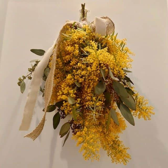 大地真央さんのインスタグラム写真 - (大地真央Instagram)「お友達宅で咲いた 🌼ミモザ🌼をリースとスワッグにしてプレゼントしてくれました♪(๑ᴖ◡ᴖ๑)♪ 我が家の玄関と廊下に春が訪れました〜🌼🌼🌼🌼🌼🌼🌼🌼  どうやら明日は寒いみたいですね…^^; せめて今日はミモザで春気分になってください🌼🌼🌼  #ミモザ #mimosa #満開 #冬の太陽 ☀ #ミモザリース #大きい #スワッグ 🎗 #手作り#上手 👏 #可愛い ☺ #春#春色 #大地真央 #MAODAICHI」3月21日 18時55分 - daichimao_official