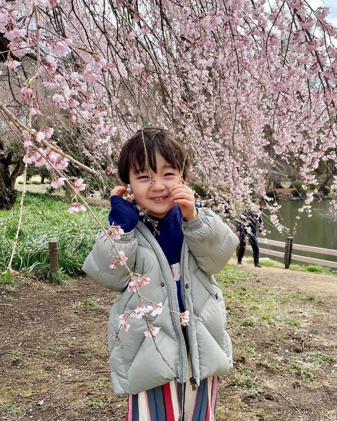 石塚錬さんのインスタグラム写真 - (石塚錬Instagram)「. 👦💬「春がキターーー🌸❗️」 #みんなのオススメの桜スポットはどこですか❓🌸😆 #なんと、、、気づいたら3️⃣0️⃣0️⃣投稿目でした🥳💕💕いつもたくさんのいいね&コメントに元気をもらってます🤲🥺これからも少しずつ成長するボクを見せられるよう頑張ります🎬📺😆🎊 . 👦💬「Spring has come🌸❗️」 ＃Where are your recommended cherry blossom spots❓🌸😆 #This is the 300th post. I'm always inspired by a lot of likes and comments. I will continue to do my best to show you how I will grow little by little🎬📺😆🎊 . #桜 #さくら #春 #お花見 #新宿御苑 #300 #笑顔 #ありがとう #感謝 #Cherryblossoms #spring #thankyou #threehundred #smile #벚꽃　#봄　#감사합니다 #ดอกซากุระ #ฤดูใบไม้ผลิ #Bunga sakura #樱花 #石塚錬 #成長日記 #ishizukaren #renishizuka #이시즈카렌」3月21日 19時00分 - ishizuka_ren