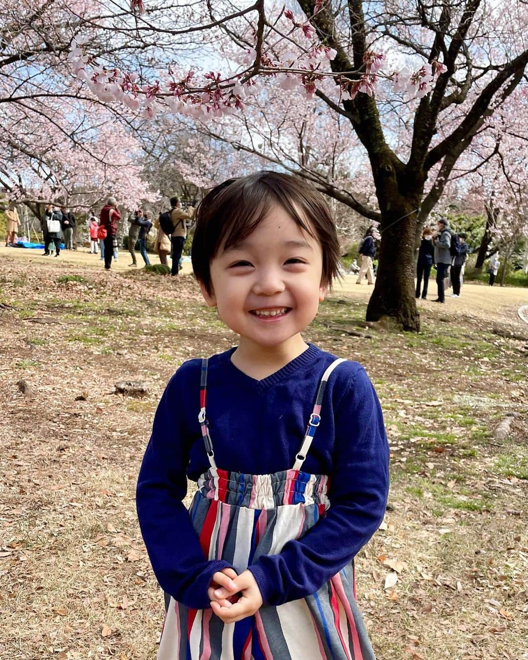 石塚錬さんのインスタグラム写真 - (石塚錬Instagram)「. 👦💬「春がキターーー🌸❗️」 #みんなのオススメの桜スポットはどこですか❓🌸😆 #なんと、、、気づいたら3️⃣0️⃣0️⃣投稿目でした🥳💕💕いつもたくさんのいいね&コメントに元気をもらってます🤲🥺これからも少しずつ成長するボクを見せられるよう頑張ります🎬📺😆🎊 . 👦💬「Spring has come🌸❗️」 ＃Where are your recommended cherry blossom spots❓🌸😆 #This is the 300th post. I'm always inspired by a lot of likes and comments. I will continue to do my best to show you how I will grow little by little🎬📺😆🎊 . #桜 #さくら #春 #お花見 #新宿御苑 #300 #笑顔 #ありがとう #感謝 #Cherryblossoms #spring #thankyou #threehundred #smile #벚꽃　#봄　#감사합니다 #ดอกซากุระ #ฤดูใบไม้ผลิ #Bunga sakura #樱花 #石塚錬 #成長日記 #ishizukaren #renishizuka #이시즈카렌」3月21日 19時00分 - ishizuka_ren