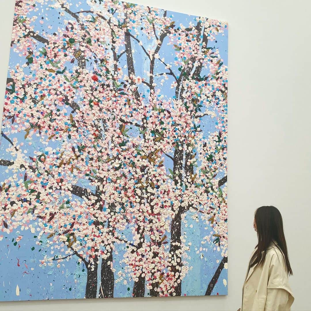 熊江琉唯さんのインスタグラム写真 - (熊江琉唯Instagram)「ダミアンハーストの桜展行けて良かった！  近くで見るのと遠くので見るのとじゃ全然違う 近くで見ると抽象的　遠くで見ると具体的　不思議な絵です  一つ一つの作品が大きくて、エネルギッシュで、まるで本物の桜を見上げるようで🌸お花見気分味わったかも（笑） エネルギーたくさんもらったな☺️  どの桜も綺麗なのでお気に入りの何枚かをインスタに載せます🌸🌟  #ダミアンハースト #桜 #ダミアンハースト桜 #美術館 #美術 #美術家 #現代アート #アート #art #🖼 #🎨 #🌸 #damienhirst」3月22日 18時52分 - ruikumae