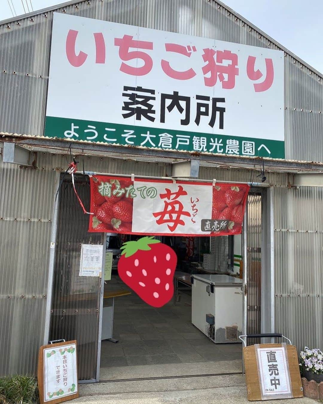 堀尾実咲さんのインスタグラム写真 - (堀尾実咲Instagram)「いちご狩り行ってきたよ🍓  静岡県湖西市の 【大倉戸 観光農園】です✨  🍓あきひめ 🍓紅ほっぺ 🍓かおり野  3種類のいちごを 食べ比べできるよ☺️  いちご大好きだから幸せだった🤤  お近くの方はぜひ立ち寄ってみてね☺️  直売所ではパック販売もしてるよ🍓  🔍http://www.ookurado.com  #いちご狩り #いちご #苺 #イチゴ #いちご狩りコーデ #静岡県湖西市 #湖西市観光 #大倉戸観光農園 #大倉戸いちご」3月22日 21時20分 - misaki.horio