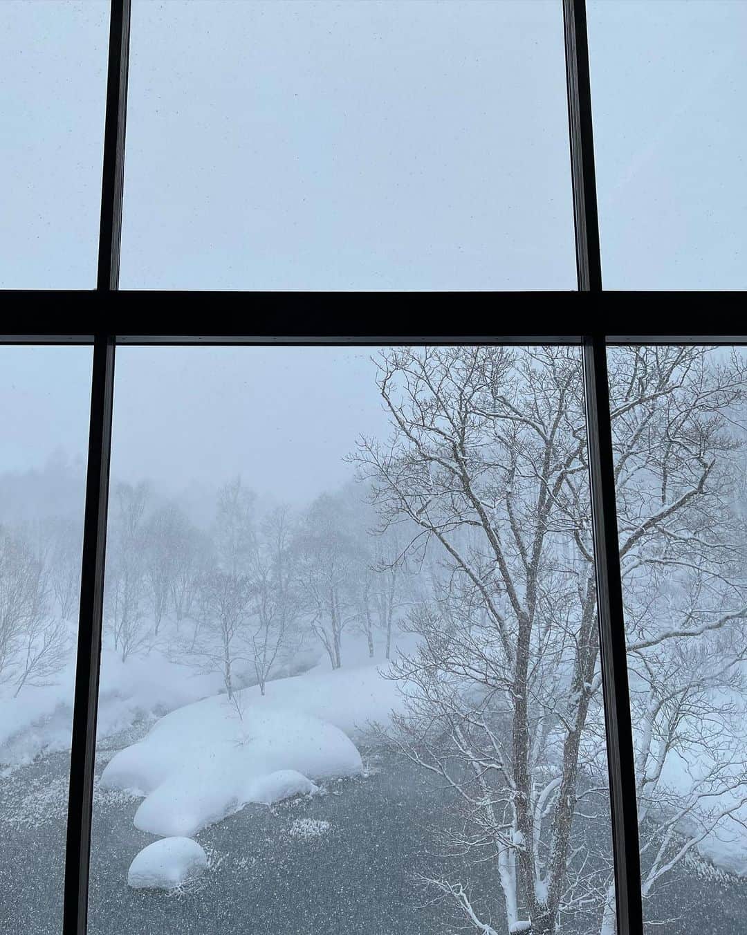 木本泉さんのインスタグラム写真 - (木本泉Instagram)「- 今日は雪がすごく降っていてボーっと眺めてるだけでも何だか穏やかな気持ちになれる空気でした✨  普段雪が降らない地域に住んでいるので、あたり一面何もなくて、ただ雪しかないのは新鮮で気持ちが良い😌  コートは着てますが、ヒートテックとスノーブーツでブラウスで十分🌼  #北海道#ニセコ#冬#雪景色」3月22日 23時57分 - izumikimoto