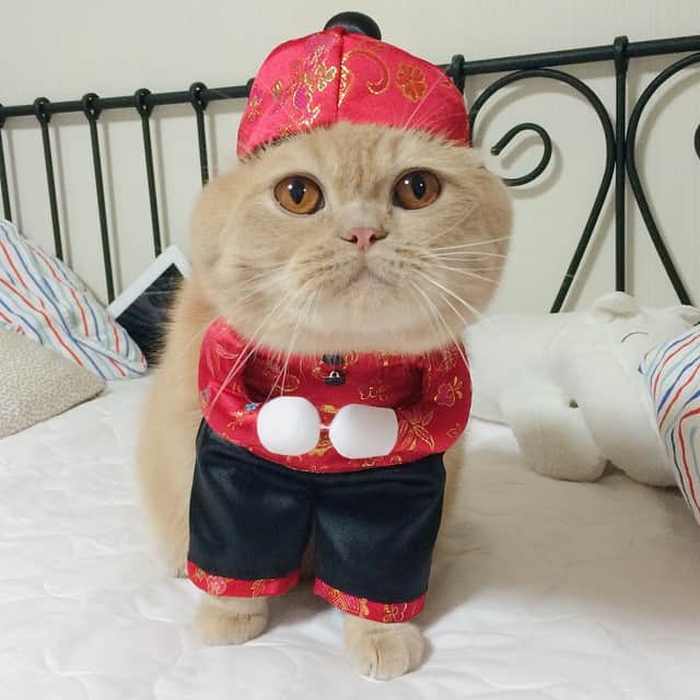 GH.Lee [홌] のインスタグラム
