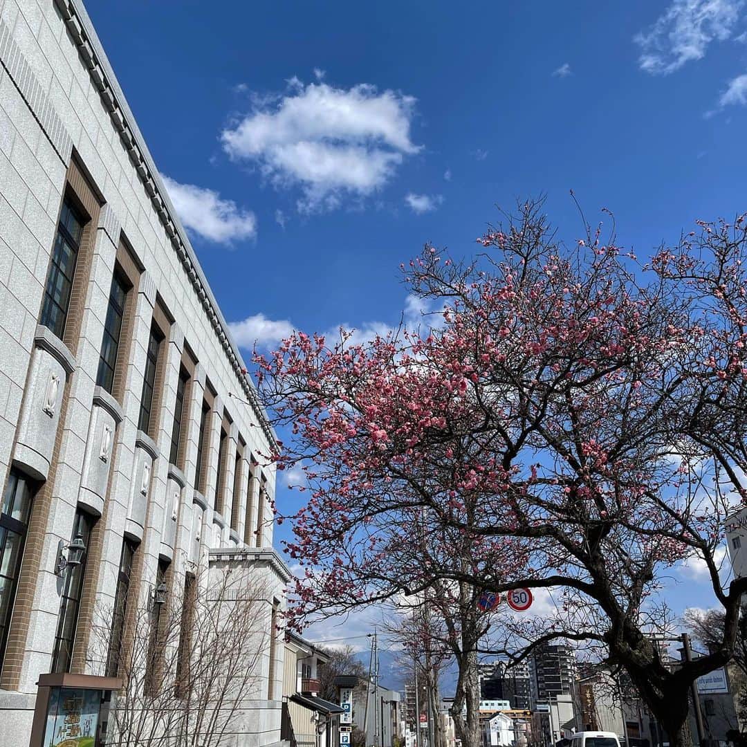 行正り香さんのインスタグラム写真 - (行正り香Instagram)「お仕事で松本を経て長野に来ました。ずっと来たかった長野信濃美術館で、たくさんの東山魁夷さんの絵を見ることができました。昨日の松本は寒かったのに、今日の長野は春。桜もどんどん咲きそうです。#行正り香 #rikayukimasa #松本十帖 #昨日は美味しいチーズフォンデュをいただきました @geleeblanche #ジュレブランシュ」3月24日 15時12分 - rikayukimasa