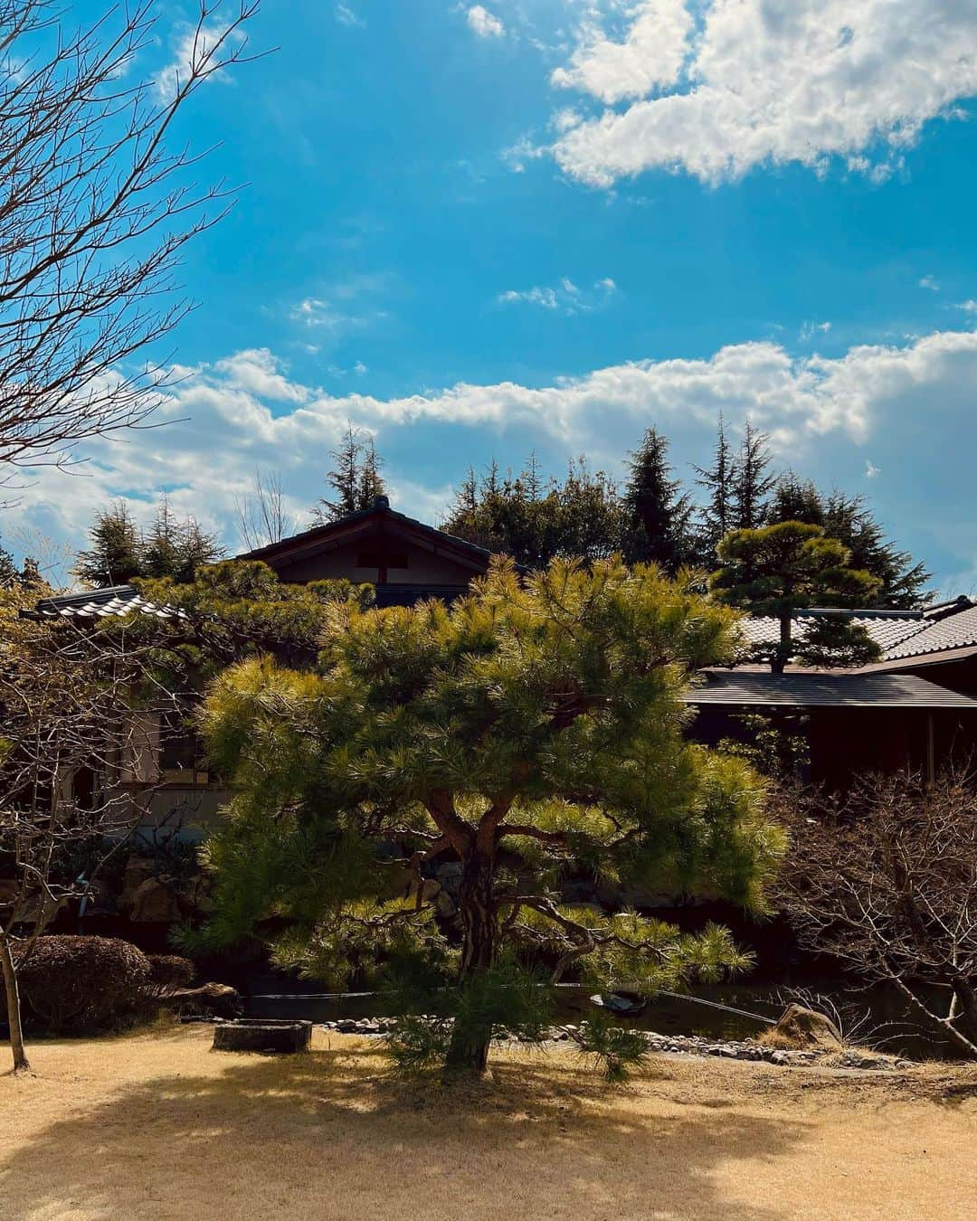 砂田将宏さんのインスタグラム写真 - (砂田将宏Instagram)「【美】”🇯🇵”」3月24日 20時01分 - masahirosunada.official