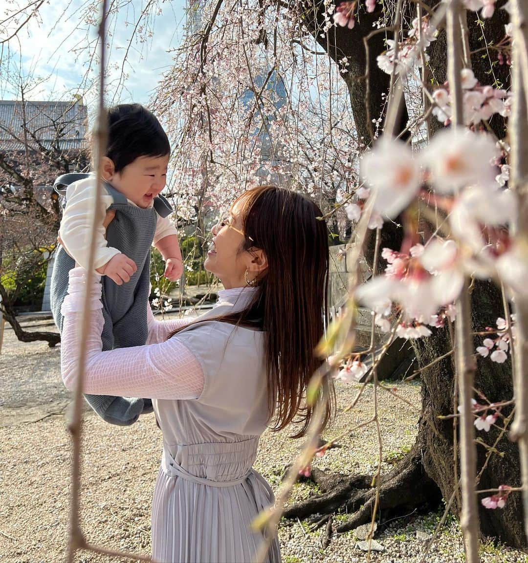 舟山久美子（くみっきー）さんのインスタグラム写真 - (舟山久美子（くみっきー）Instagram)「🌸🌸🌸🌸🌸  この季節が1番すき🥰  マシュ君に内緒でまめさんと2人お花見してきた🤫🌸笑  よく笑う息子君に日々癒されています🥺🙏 最近はちょっぴり人見知りが始まってきたのか、たまにぐずるようになりました👶成長成長✨！  お洋服はタグ付け🏷しておきます♪  #お花見  #お花見コーデ  #春コーデ  #芝公園」3月24日 20時29分 - kumikofunayama