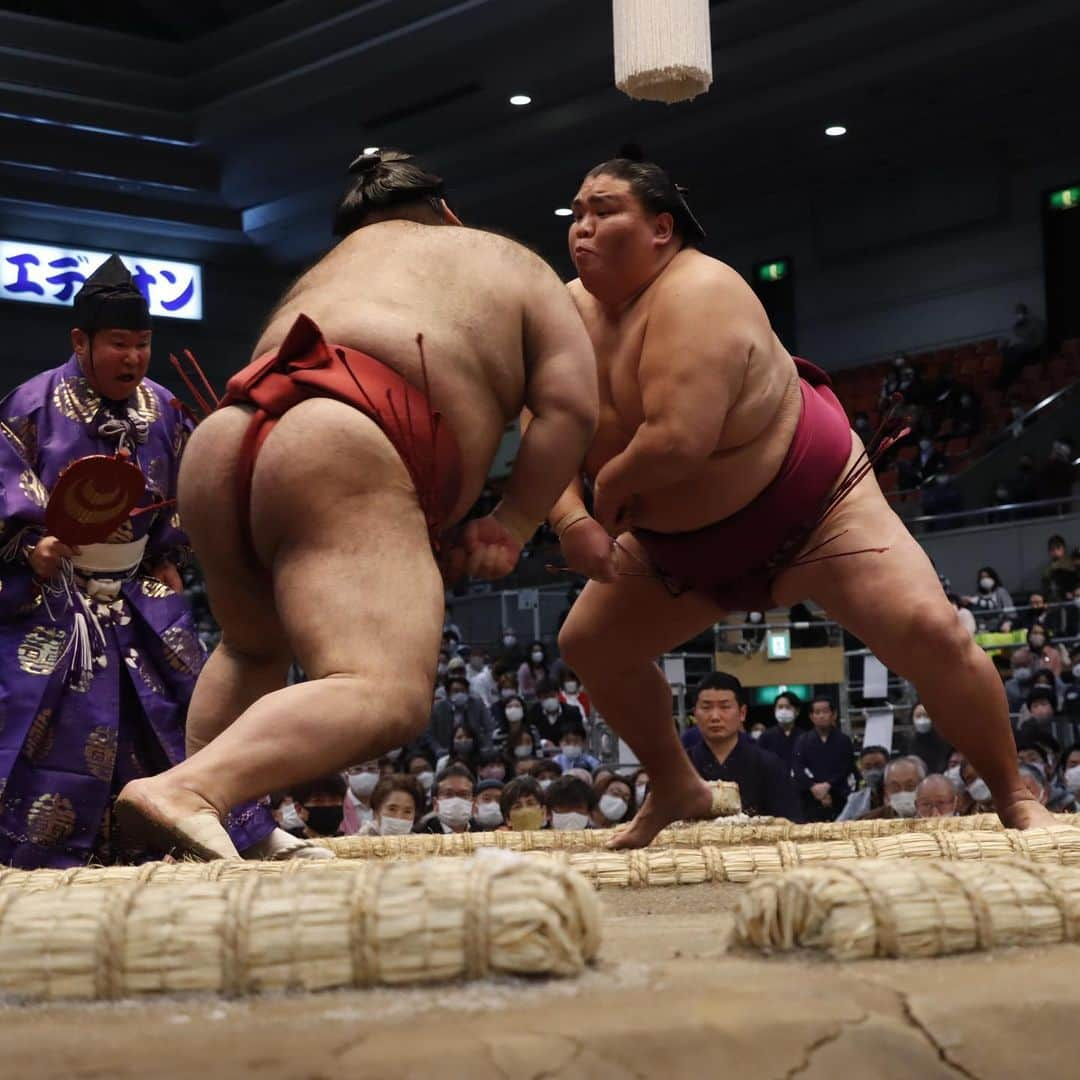 日本相撲協会さんのインスタグラム写真 - (日本相撲協会Instagram)「大相撲三月場所 十二日目！ 若隆景、髙安が1敗を守り、御嶽海と琴ノ若が3敗に。 優勝争いから目が離せません！！  @sumokyokai  #大相撲 #sumo #相撲 #力士 #お相撲さん #japanphoto #sumowrestlers #japanculture  #三月場所 #3月場所 #春場所 #大阪場所 #髙安 #御嶽海 #若隆景 #琴ノ若 #正代 #貴景勝」3月24日 21時44分 - sumokyokai