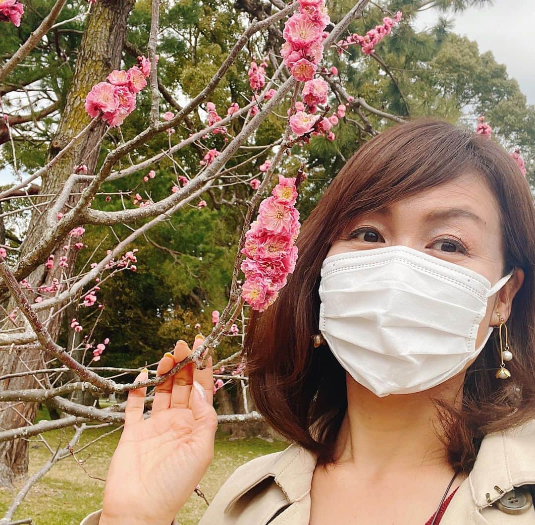 小林万希子さんのインスタグラム写真 - (小林万希子Instagram)「・ 今日のお仕事は京都から✨  仕事終わりに御所の中を通って(いつものコースで) 駅まで👍  さすがに気温が低いのでまだまだでしたが 春を感じるピンクを愛でるためにたくさんの方がお散歩してました🌸😊 　 時間に追われてバタバタする日常も こうやってお花を見てるとゆっくりと時間が流れるような感覚になりますよね〜😌不思議🌸  で、御所を通り抜けたら……  現実に戻って早速駅まで走っていきましたけども🏃‍♂️💨笑  桜が満開になる頃に ちょうど京都の仕事が入るといいなぁ🥰🌸  #京都 #京都御所  #京都御所の桜  #まだまだ  #ピンク  #囲まれたい 💓 #散歩  #散歩道  #散歩道の花  #春  #春カラー  #満開  #満開の桜  #待ち遠しい 🥰」3月24日 21時45分 - macky1218