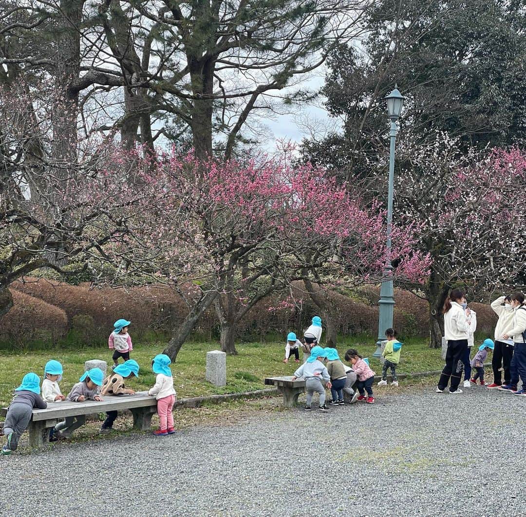 小林万希子さんのインスタグラム写真 - (小林万希子Instagram)「・ 今日のお仕事は京都から✨  仕事終わりに御所の中を通って(いつものコースで) 駅まで👍  さすがに気温が低いのでまだまだでしたが 春を感じるピンクを愛でるためにたくさんの方がお散歩してました🌸😊 　 時間に追われてバタバタする日常も こうやってお花を見てるとゆっくりと時間が流れるような感覚になりますよね〜😌不思議🌸  で、御所を通り抜けたら……  現実に戻って早速駅まで走っていきましたけども🏃‍♂️💨笑  桜が満開になる頃に ちょうど京都の仕事が入るといいなぁ🥰🌸  #京都 #京都御所  #京都御所の桜  #まだまだ  #ピンク  #囲まれたい 💓 #散歩  #散歩道  #散歩道の花  #春  #春カラー  #満開  #満開の桜  #待ち遠しい 🥰」3月24日 21時45分 - macky1218