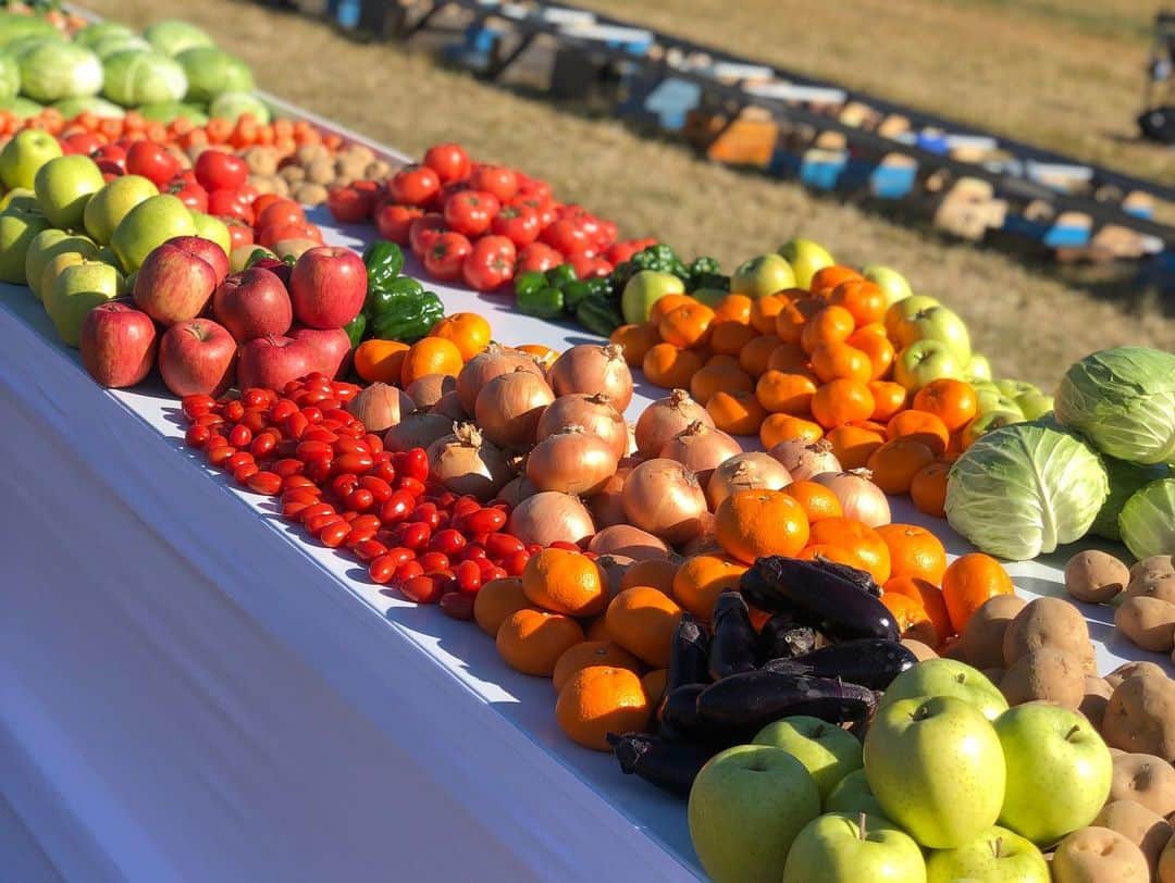 石川佳純さんのインスタグラム写真 - (石川佳純Instagram)「*** 全農さんのCM 「つながる食卓」に出演させて頂きました😄。 太陽の下、色とりどりの野菜たちがとても綺麗でした☀️ 愛情を込めて作られた野菜を、常に感謝の気持ちをもって頂きたいです🍅🍆🧅🥦🫑🥕 #農家の皆さんありがとう #全農」3月25日 10時48分 - kasumi.ishikawa_official