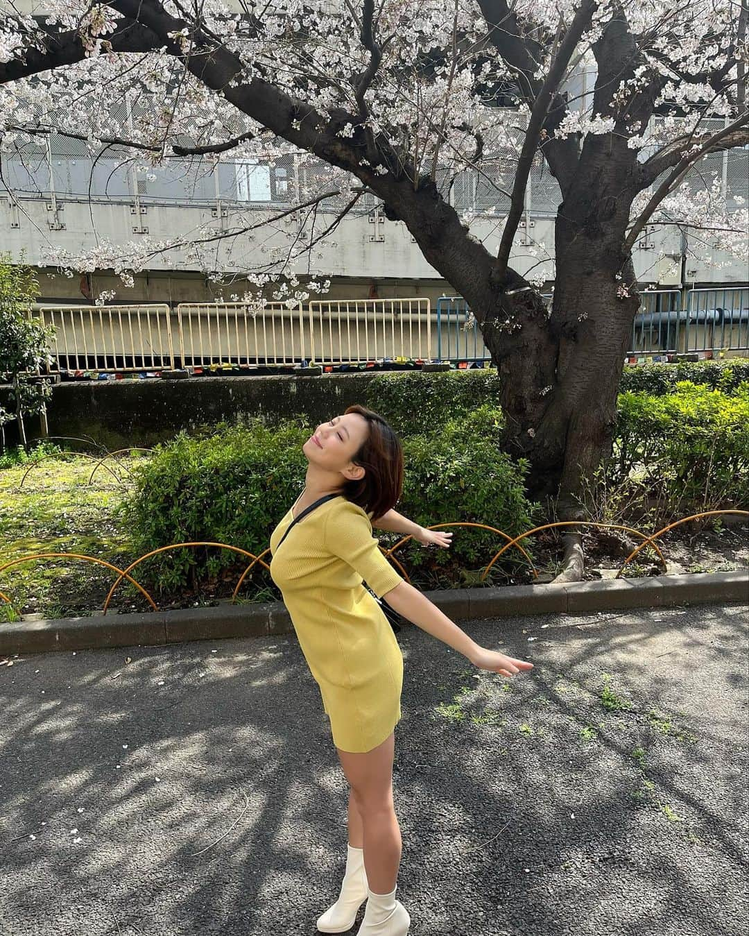 亜矢みつき（神谷充希）さんのインスタグラム写真 - (亜矢みつき（神谷充希）Instagram)「🌸 桜みつけた！！ #収録 #オフショット #桜 #春 #花見」3月25日 14時14分 - ma.yamitsuki