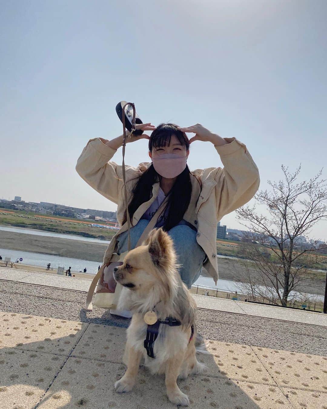 野乃さんのインスタグラム写真 - (野乃Instagram)「ワン🐶♡ お散歩日和でした！  知人のわんこです。雪次郎くん！ 犬もかわええねぇ🐕🐕」3月25日 22時26分 - nonono_onaka