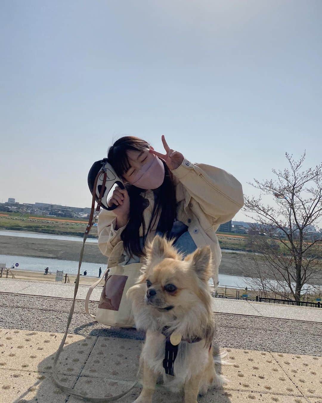 野乃さんのインスタグラム写真 - (野乃Instagram)「ワン🐶♡ お散歩日和でした！  知人のわんこです。雪次郎くん！ 犬もかわええねぇ🐕🐕」3月25日 22時26分 - nonono_onaka