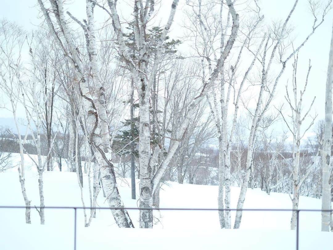 木本泉さんのインスタグラム写真 - (木本泉Instagram)「- 5日間の久しぶりの北海道❄️  食べ物も美味しいし、温泉もあるし、何度訪れても良い場所☃️  また来年✨  #北海道#雪3月#坐忘林」3月25日 23時18分 - izumikimoto