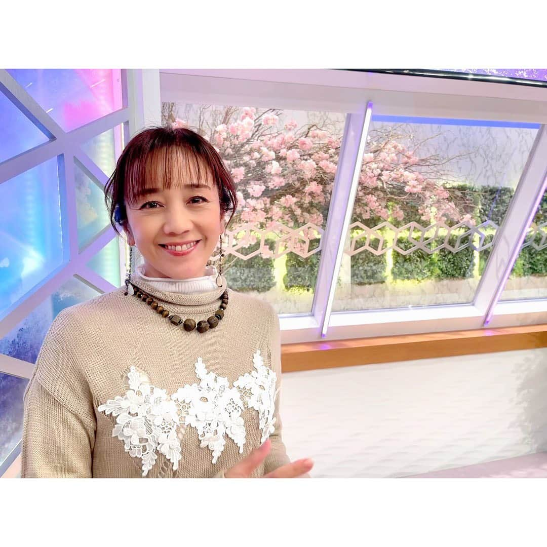 西田ひかるさんのインスタグラム写真 - (西田ひかるInstagram)「.  木曜日ytv「ten.」  少しずつ春らしくなって 大阪も桜が開花〜  スタジオセットも春らしく🌸  #読売テレビ #読売テレビten #生放送  #yukitorii #ユキトリイ　 #ニットコーデ #薄手ニット #ホワイトパンツ  #桜 #春 #そろそろ  #hikarunishida #西田ひかる」3月26日 10時31分 - hikaru_nishida.official