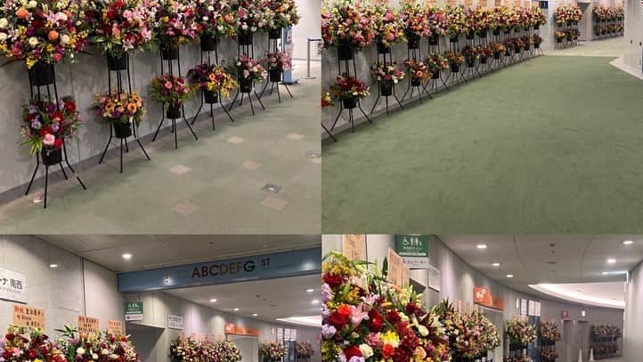 皇治さんのインスタグラム写真 - (皇治Instagram)「沢山の方々に支えられて今がある♪  日本一の応援団  会場で花の数、勇気もらいました。  ほんまに感謝しかない。  ありがとうございます。  https://youtu.be/hRbWkP5etGk  #スポンサード #皇治軍団 #RIZIN34 #皇治TV #皇治チャンネル  スポンサード問い合わせ  team.one1.info@gmail.com」3月26日 14時03分 - 1_kouzi