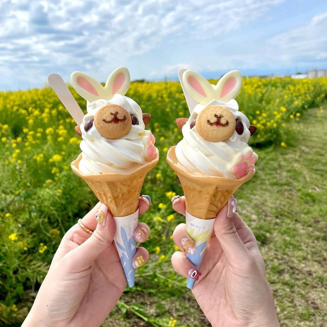 エリンコさんのインスタグラム写真 - (エリンコInstagram)「🍦🦙🌼 . ソレイユの丘行った時 可愛いソフトクリームみつけて 思わず買っちゃった🤣🤍 . アルパカさんのソフトクリーム🍦🦙 . かわいすぎん？？？😍🌼 . #ソレイユの丘 #ソレイユの丘キャンプ場 #菜の花 #菜の花畑 #横須賀 #yellow #黄色 #お花畑 #花畑 #东京 #时尚潮流 #可爱的 #えりんコーデ #えりんこヘアアレンジ #えりんこカフェ巡り #アルパカ #ソフトクリーム #イースター #インスタ映え #横須賀グルメ」3月26日 14時08分 - erinko0315