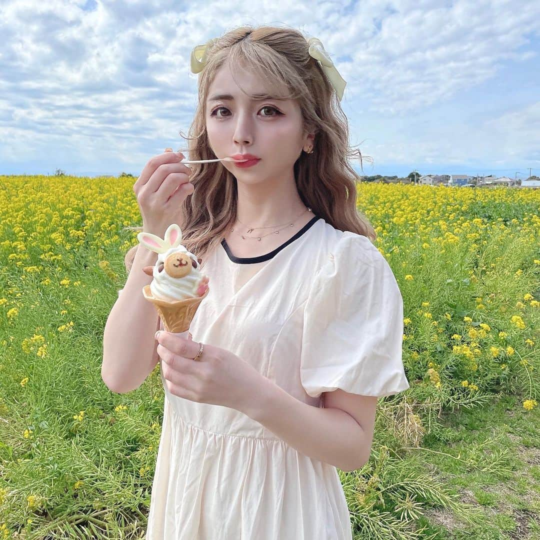 エリンコさんのインスタグラム写真 - (エリンコInstagram)「🍦🦙🌼 . ソレイユの丘行った時 可愛いソフトクリームみつけて 思わず買っちゃった🤣🤍 . アルパカさんのソフトクリーム🍦🦙 . かわいすぎん？？？😍🌼 . #ソレイユの丘 #ソレイユの丘キャンプ場 #菜の花 #菜の花畑 #横須賀 #yellow #黄色 #お花畑 #花畑 #东京 #时尚潮流 #可爱的 #えりんコーデ #えりんこヘアアレンジ #えりんこカフェ巡り #アルパカ #ソフトクリーム #イースター #インスタ映え #横須賀グルメ」3月26日 14時08分 - erinko0315