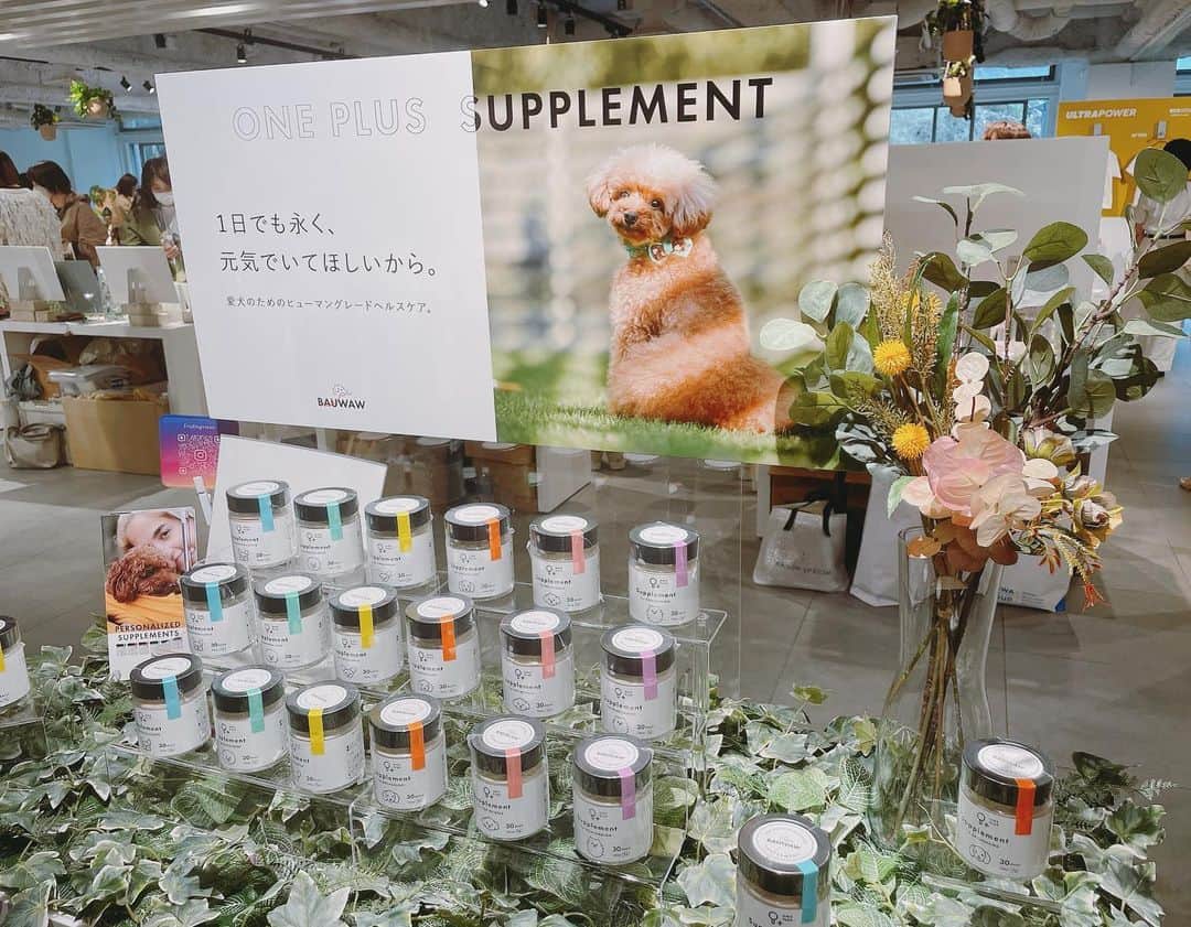 櫻井麻美さんのインスタグラム写真 - (櫻井麻美Instagram)「『BIOPLE FES vol.14』に行ってきました✨ ・ ナチュラル＆オーガニックの最新アイテムをチェックしてきたので、気になった商品を少しご紹介します😊 ・ ・ @ecostore.jp  Laundry Liquid / Powder ULTRA POWER 👉写真のTシャツの汚れを落としたのは、これまで多くても3種類の酵素だったのを今回初めて5種類の酵素を使用することで実現したそうです！これは是非使ってみたい。 ・ @roselabo.japan  ローズマルチミスト 👉成分表のトップが水ではなくハイブリッドローズ花水になってます🌹化粧水とオイルの二層式化粧水。これ一本でOKなオールインワンで、且つスプレータイプなのが嬉しい！デコルテやボディに使ってみようと思います。 ・ @fleurancenature_jp  クレンジングミセラーウォーター 👉フランス発の拭き取りクレンジングでダブル洗顔不要な上マスカラも落ちるとのことなので、目元のメイク落としに使いたい。 ・ 犬の健康を真剣に考えて作られたドッグフード2種も気になりました🐕 @whitefox2008  @bauwaw_official  ・ @elixinoljapan  Botanical CBD fragrance 👉ロールオンなので、首筋に塗るのがオススメだそう。実験疲れがまだ抜けてないので、首に塗って癒されたい。Mgも入ってたらさらに良いなぁ✨ ・ ・ オーガニックの商品は、ひと昔前まではオーガニックであること自体が良いという市場でしたが、最近では体感や効果、エビデンス等が求められるようになってきたなと感じます。 ・ これからますます楽しみです😊 ・ ・ #オーガニックコスメ  #ナチュラルコスメ  #biople  #bioplebycosmekitchen  #最新コスメ @biople」3月26日 18時42分 - mamiosakurai