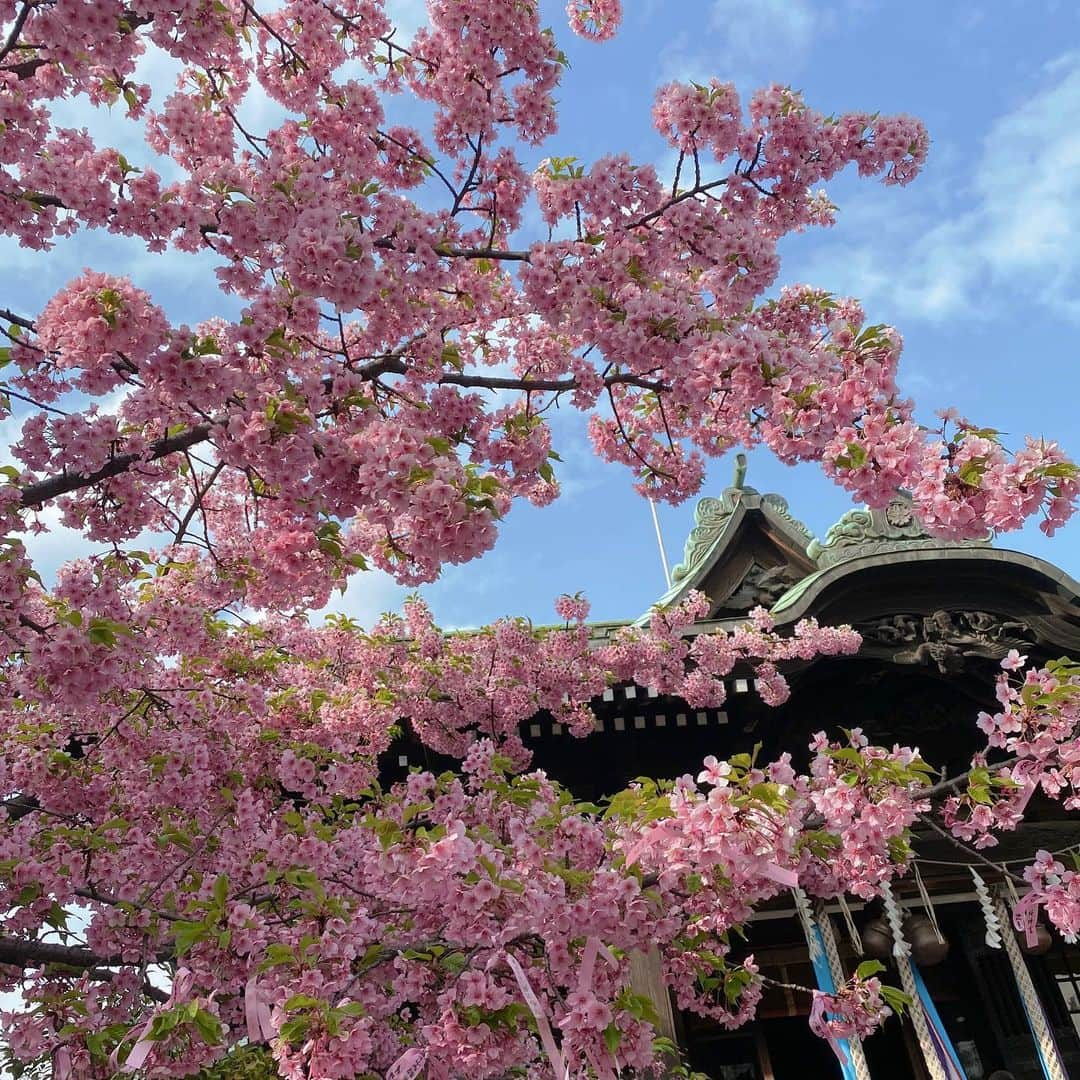 星名あゆみさんのインスタグラム写真 - (星名あゆみInstagram)「🌸🌸🌸」3月26日 22時05分 - hoshina_ayumi