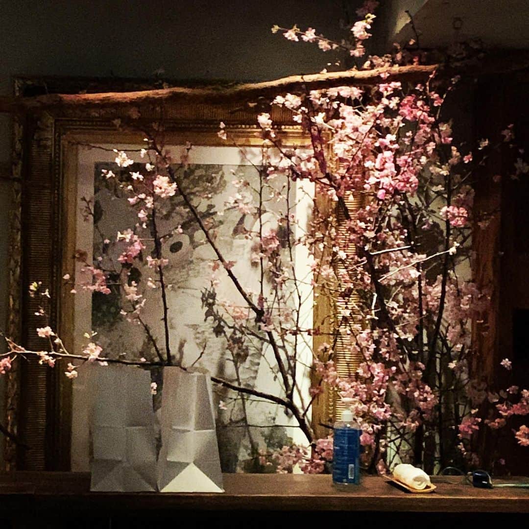 志摩有子さんのインスタグラム写真 - (志摩有子Instagram)「ありこだしが無事完成したのを祝って、小野木さんへ。この時期、大きな窓越しに立派な桜が眺められる贅沢な空間に。店内にもたくさんの桜が設られてお花見気分を満喫できる。いつものように前菜盛り合わせからスタート。珍味美味が楽しげに並ぶこの一皿はいつ頂いてもワクワクする。出色は半生仕立てのアジフライ。アジフライにはタルタルとソースと思っていたけれど、レモンと生姜醤油がとても合う。〆はしらすと葉わさびの炊き込みご飯でさっぱりと。幸せな宵。  #夜桜 #お花見 #広尾小野木 @hiroo_onogi」3月26日 22時31分 - ariko418