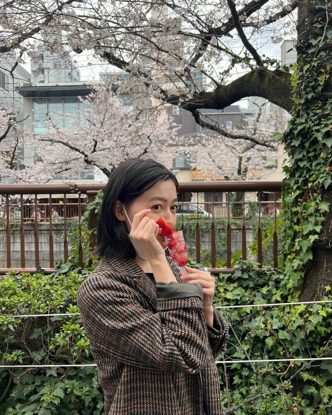 久住小春さんのインスタグラム写真 - (久住小春Instagram)「桜みれた🌸 ずっと食べたかった🍓ソーダ🥤 たのしかった🌸🍓 #桜」3月26日 23時50分 - koharu_kusumi.official