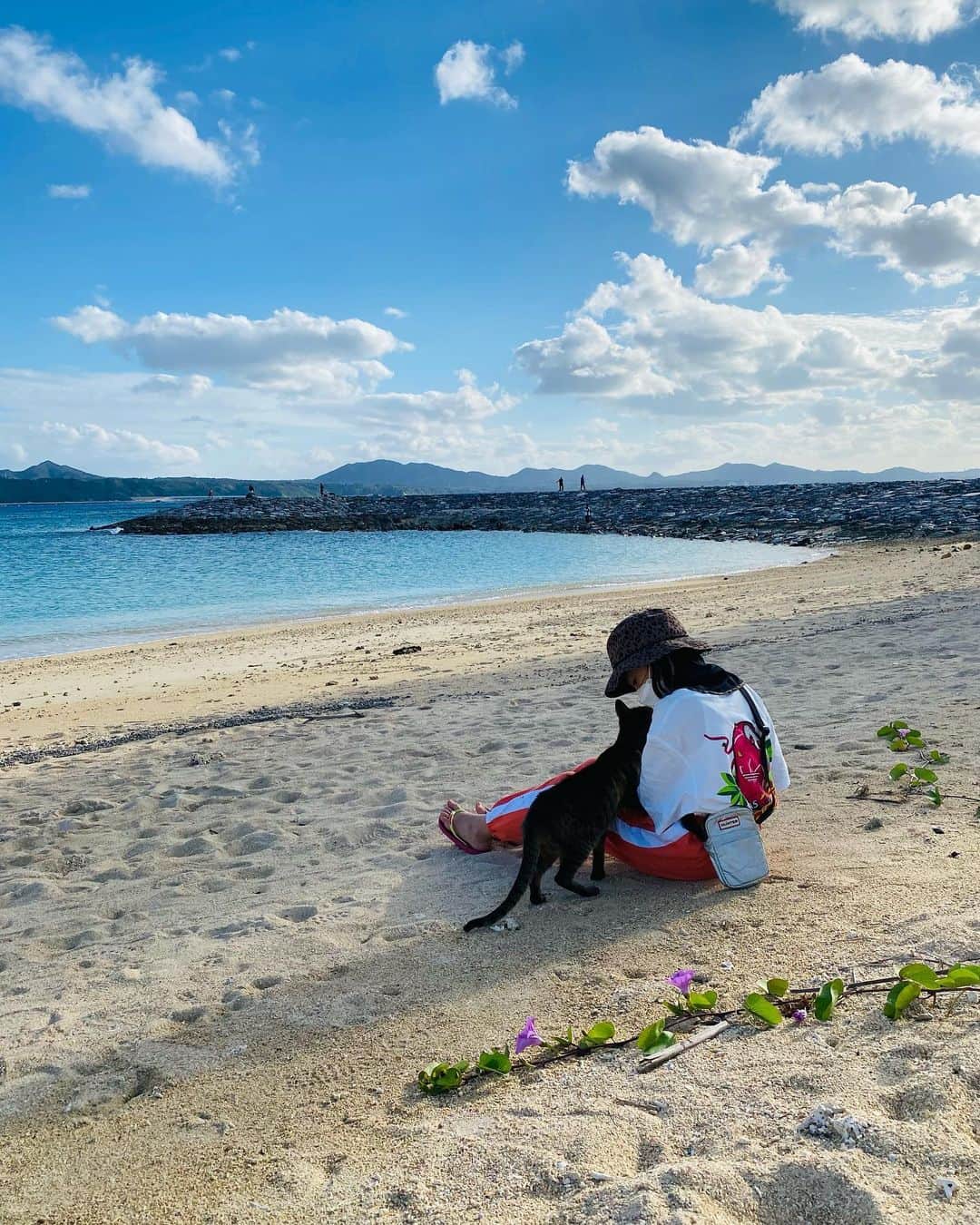 稲垣来泉さんのインスタグラム写真 - (稲垣来泉Instagram)「. 昨日から春休みです。 …毎日、投稿できるかな。 . . 《沖縄日記》 仲良くしてくれた ねこちゃんです🐈 . とっても気持ちの良い日の お散歩です。 . . . #去年 #沖縄 #ねこちゃん #さくらねこ . . . 昨日の投稿が復元できなくなっていて いいね！やコメントをしてくださった皆様 申し訳ありません。 …内容重複しております。 . . . 【ちむどんどん告知】 ３月２７日（日） 「上白石萌歌が行く！沖縄の大自然」 【総合】18：05～18：35 再放送 【総合】４月２日（土）9：00～9：30  世界自然遺産に指定された沖縄本島北部やんばる地域。 やんばるの豊かな自然を、比嘉歌子 役で出演する上白石萌歌さんが紹介いたします。」3月27日 12時27分 - kurumi_inagaki