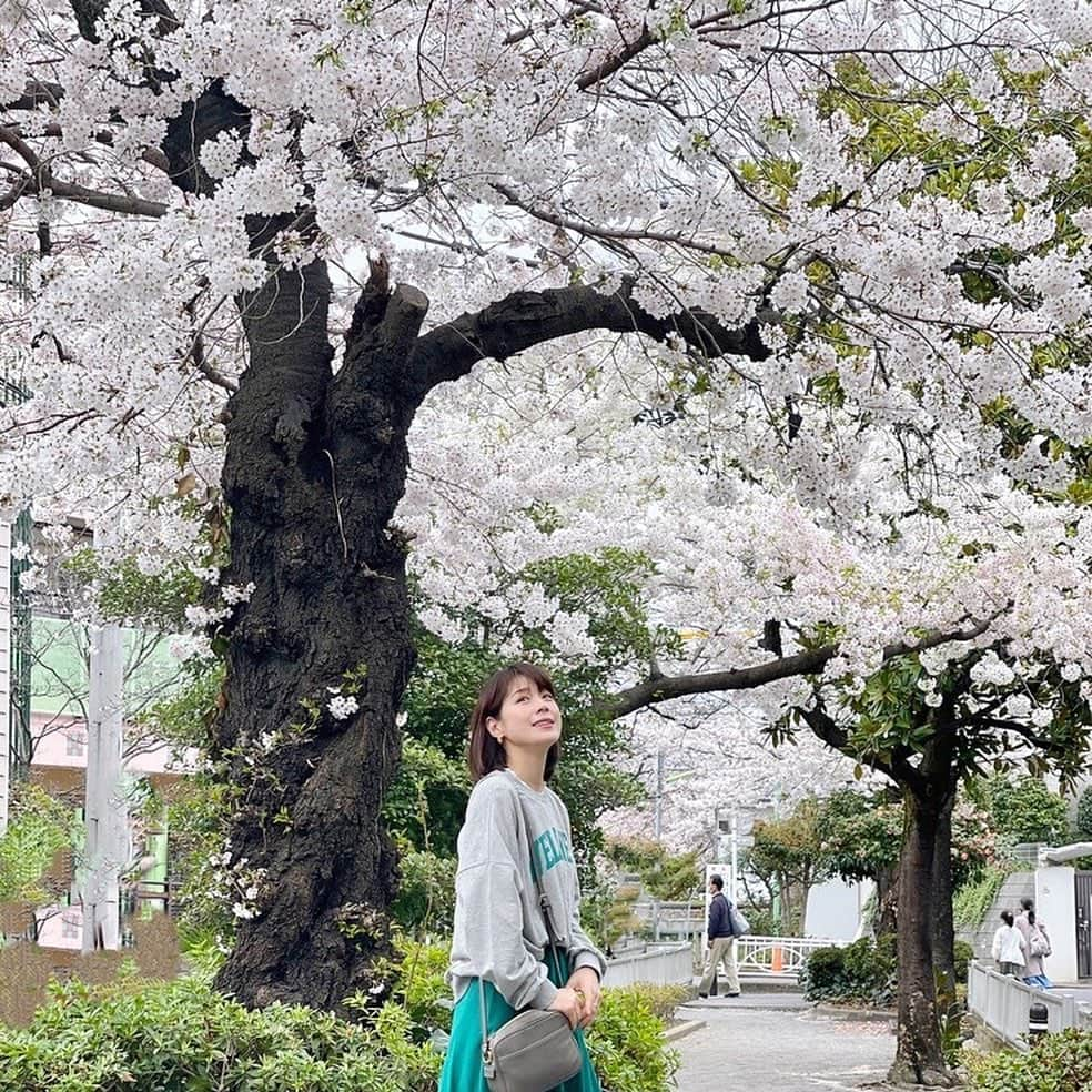 相沢まきさんのインスタグラム写真 - (相沢まきInstagram)「《東京は桜🌸満開🌸》 お散歩がてらお花見へ✨ @elura_official の展示会でオーダーしたスカートを履いて珍しくグリーンコーデ✨ 春になると明るい色の服が着たくなりますね😁 #お花見　#Elura #エルーラ　#大人の悩みに効くコーデ #elura2022ss #ママコーデ　#プチプラコーデ」3月27日 16時36分 - maki_aizawa0414