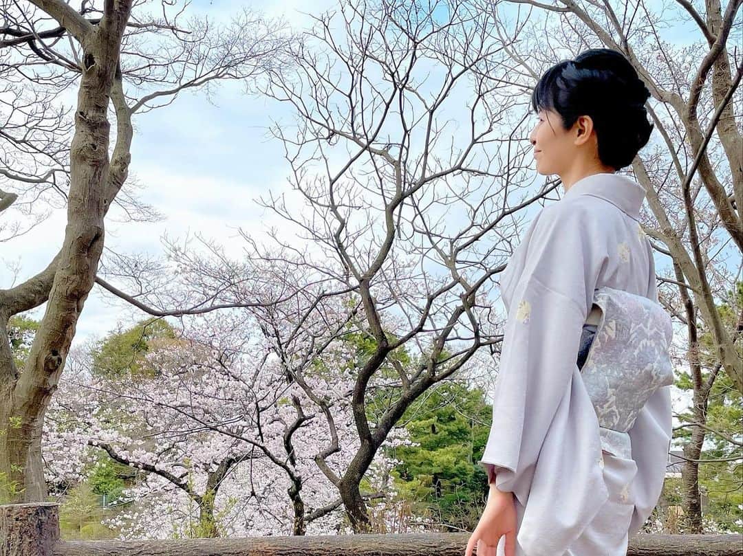 太田景子さんのインスタグラム写真 - (太田景子Instagram)「東京で桜満開となった昨日、私も番組おわりにお着物でお花見をすることができました💕  主役の桜を邪魔しないようにピンクが映える寒色系で控えめにまとめてみましたよ😉  関東は少し晴れ間もあって暖かく、お花見にはベストな日曜日になりました🍡 (同時に満開となった、福岡、高知も日曜はお花見日和になりましたね😀楽しまれた方がたくさんいるのではないでしょうか✨)  満開のソメイヨシノは優美で儚げで繊細だけど凛とした力強さを感じます🕊美しい……  今年もいたるところでソメイヨシノの姿が目を惹く季節がやってきましたね😊🌸🌸🌸」3月28日 7時23分 - keiko_ota1121