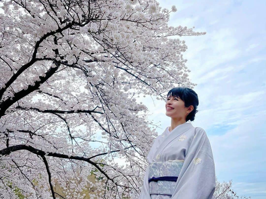 太田景子さんのインスタグラム写真 - (太田景子Instagram)「東京で桜満開となった昨日、私も番組おわりにお着物でお花見をすることができました💕  主役の桜を邪魔しないようにピンクが映える寒色系で控えめにまとめてみましたよ😉  関東は少し晴れ間もあって暖かく、お花見にはベストな日曜日になりました🍡 (同時に満開となった、福岡、高知も日曜はお花見日和になりましたね😀楽しまれた方がたくさんいるのではないでしょうか✨)  満開のソメイヨシノは優美で儚げで繊細だけど凛とした力強さを感じます🕊美しい……  今年もいたるところでソメイヨシノの姿が目を惹く季節がやってきましたね😊🌸🌸🌸」3月28日 7時23分 - keiko_ota1121