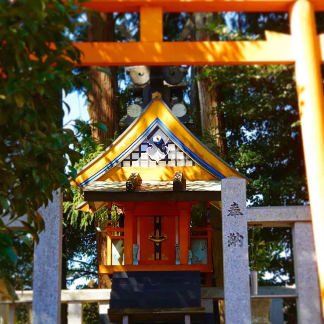 高井俊彦さんのインスタグラム写真 - (高井俊彦Instagram)「昨日はー。 息子が春休みということで実家のある #奈良市 #都祁 に帰省しました✋  うちの実家の地域は凄く寒いところで、昨日も桜か咲いていると思って近付いたら咲き残りの梅でした。  #奈良市公園夢プロジェクト  でオススメした #奈良市合併記念公園 も近くにある  #神明神社  #しんめいじんじゃ  に参拝👏 #奈良市都祁馬場町  #天照大御神 が祀られていて、『お伊勢さん』と皆さんが呼ぶ神社。 アマテラスが一夜にしてみんなの元へ飛ぶという云われから『神明』と名付けられた説もある。  周りは大自然に囲まれていて、鶯のさえずりなども聴こえてくる🎶  この地でずっと住んでいる両親も知らなかった穴場スポットは心落ち着く素敵なところでした✨ パワー⤴️⤴️⤴️  #神社好きな人と繋がりたい  #神社仏閣  #花好きな人と繋がりたい  #写真好きな人と繋がりたい  #毎日どこかのパワースポットからshowroom配信」3月28日 7時46分 - takai_toshihiko