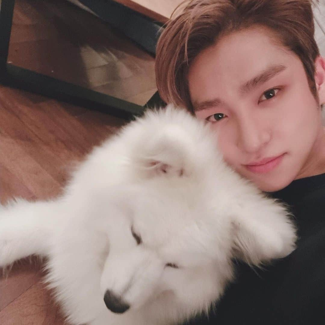 THE BOYZさんのインスタグラム写真 - (THE BOYZInstagram)「멍뭉이랑🐶」3月28日 14時35分 - official_theboyz