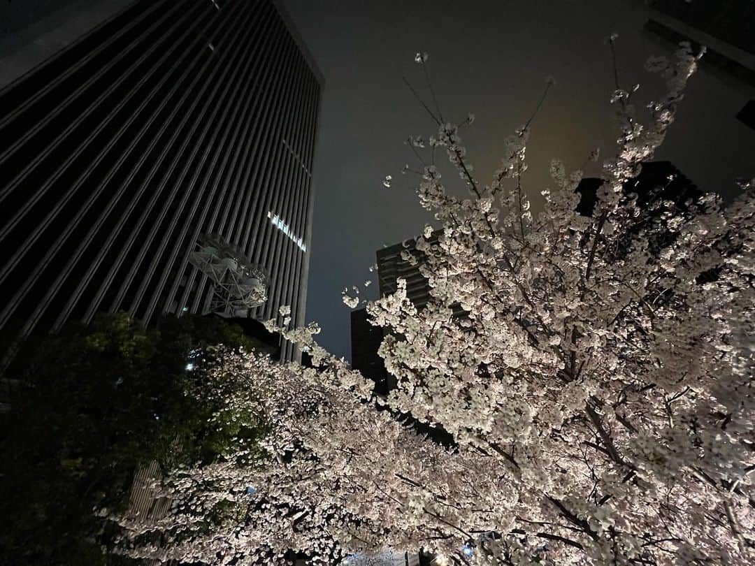 篠原梨菜さんのインスタグラム写真 - (篠原梨菜Instagram)「満開だ〜！🌸 #朝5時の桜time THE  TIME'の中継、 東京・港区　アークヒルズからお伝えしました！ 桜のライトアップは夕方5時から夜10時までです。 1kmにわたり220本のソメイヨシノが咲き誇ります！ 目線の高さで桜を楽しめるポイントや、桜のトンネル🌸人混みができにくくゆったりと観られます！  日が昇ってきた6時から8時ごろは隅田公園へ。 THE  TIME,のお天気中継を担当しました！(増田さんと！) 東京スカイツリーに桜...良いものをみました...... #thetime_tbs #桜 #満開 #東京 #隅田公園 #アークヒルズ #六本木 #隅田川 #tbs」3月28日 14時52分 - shinorinatbs
