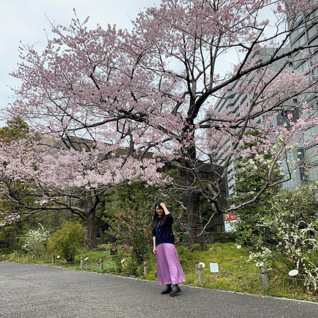 中山真見さんのインスタグラム写真 - (中山真見Instagram)「#お花見散歩 いくつかスポットへ❣️ #千鳥ヶ淵 #六本木ヒルズ #ミッドタウン ぷらぷらお散歩をしながらお写真を撮って🌸 ・ ・ ちょうど満開、お天気も良くて#お花見日和　 ・ 公園で次男をブランコに乗せたらすっごく楽しそうにしていて😆 連れて行ってもらったことはあるのだけど、私が連れて行ったのははじめて😂 ・ 桜も綺麗だったけれど、私は次男の笑顔にやられました😆😆😆 ・ パーカー: @kumikyoku_jp  スカート: @celford_official  ・ #お花見 #桜 #桜満開 #天空のお花見 #お散歩 #公園デビュー　 #出産 #育児 #三児の母  #子育て #ママライフ  #子育てママ #コロナ禍出産 #赤ちゃん #赤ちゃんのいる生活  #赤ちゃんのいる暮らし」3月28日 17時11分 - nakayamamami