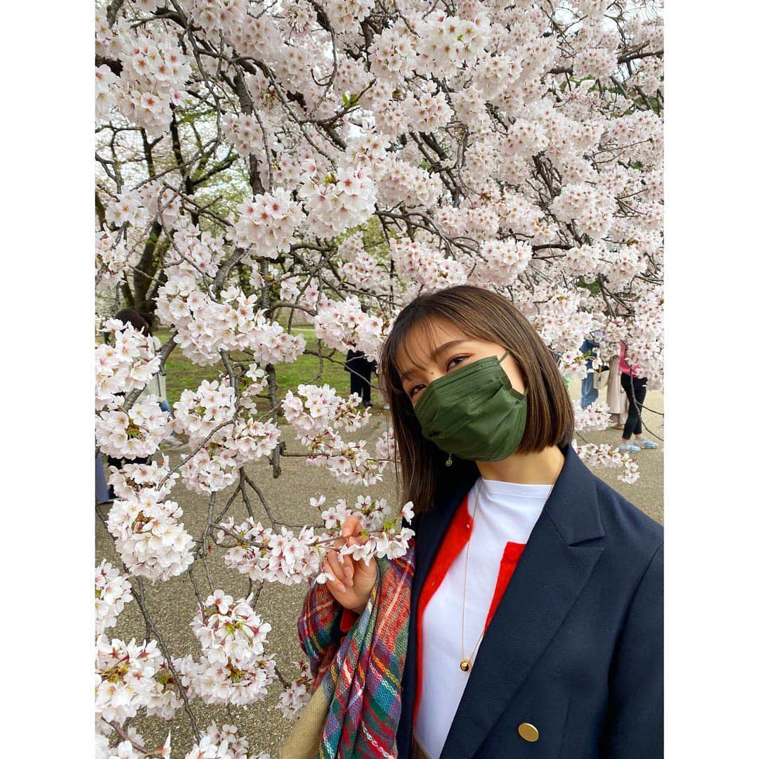 近藤夏子さんのインスタグラム写真 - (近藤夏子Instagram)「.   今年初めてゆっくり桜を楽しめました✨  白っぽかったり、ピンクだったり 丸っこかったり、タラーんとなってたり 個性豊かで見ていて楽しい☺️ 　 　 #お花見」3月28日 18時52分 - kondokako0804