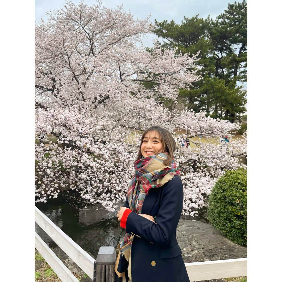 近藤夏子さんのインスタグラム写真 - (近藤夏子Instagram)「.   今年初めてゆっくり桜を楽しめました✨  白っぽかったり、ピンクだったり 丸っこかったり、タラーんとなってたり 個性豊かで見ていて楽しい☺️ 　 　 #お花見」3月28日 18時52分 - kondokako0804