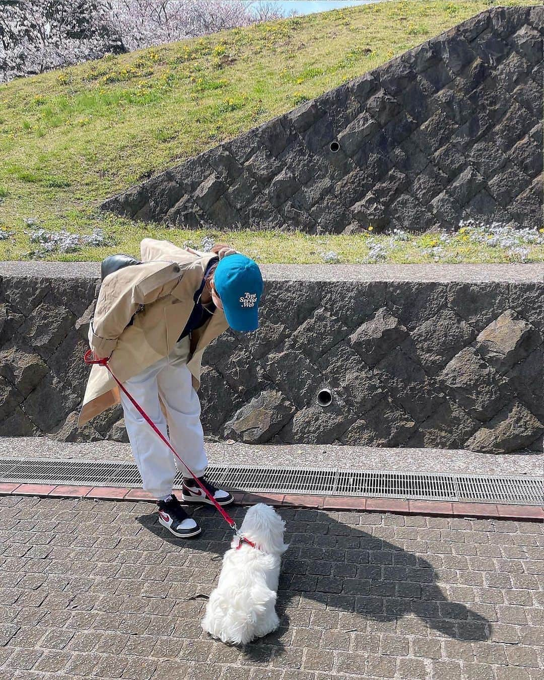 藤本林花美愛さんのインスタグラム写真 - (藤本林花美愛Instagram)「🌸 with my baby🐶💕」3月28日 20時00分 - lily_1001_official