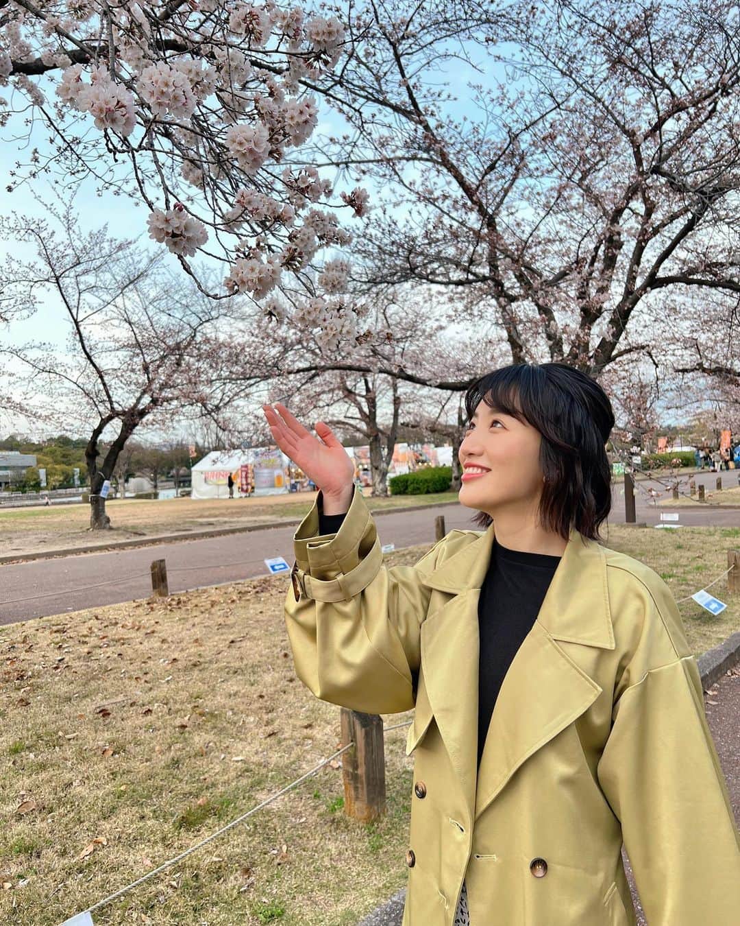 東留伽さんのインスタグラム写真 - (東留伽Instagram)「こんばんは。 キャストにて、万博記念公園から桜中継お届けしました🌸 ． ． ソメイヨシノは五分咲き。 早咲きの桜は今ちょうど満開を迎えています。 ． ． 東大路の桜並木は、道がどーんと広くて気持ちがいいです。 太陽の塔もバックショットがなかなかいいです！笑 ． 春物のコートだと夕方頃は少し寒かったので、皆さんも温度調整できる服装でお出かけくださいね🧥 ． ． ． 明日は1年目から担当したキャストに出演できる最後の機会。 たくさん教えていただいたことを活かせるように頑張ります。 ． ． #キャスト #中継 #桜 #桜並木 #万博記念公園 #ソメイヨシノ #アナウンサー #衣装 #春 #春コート」3月28日 21時47分 - azumaruka_abc