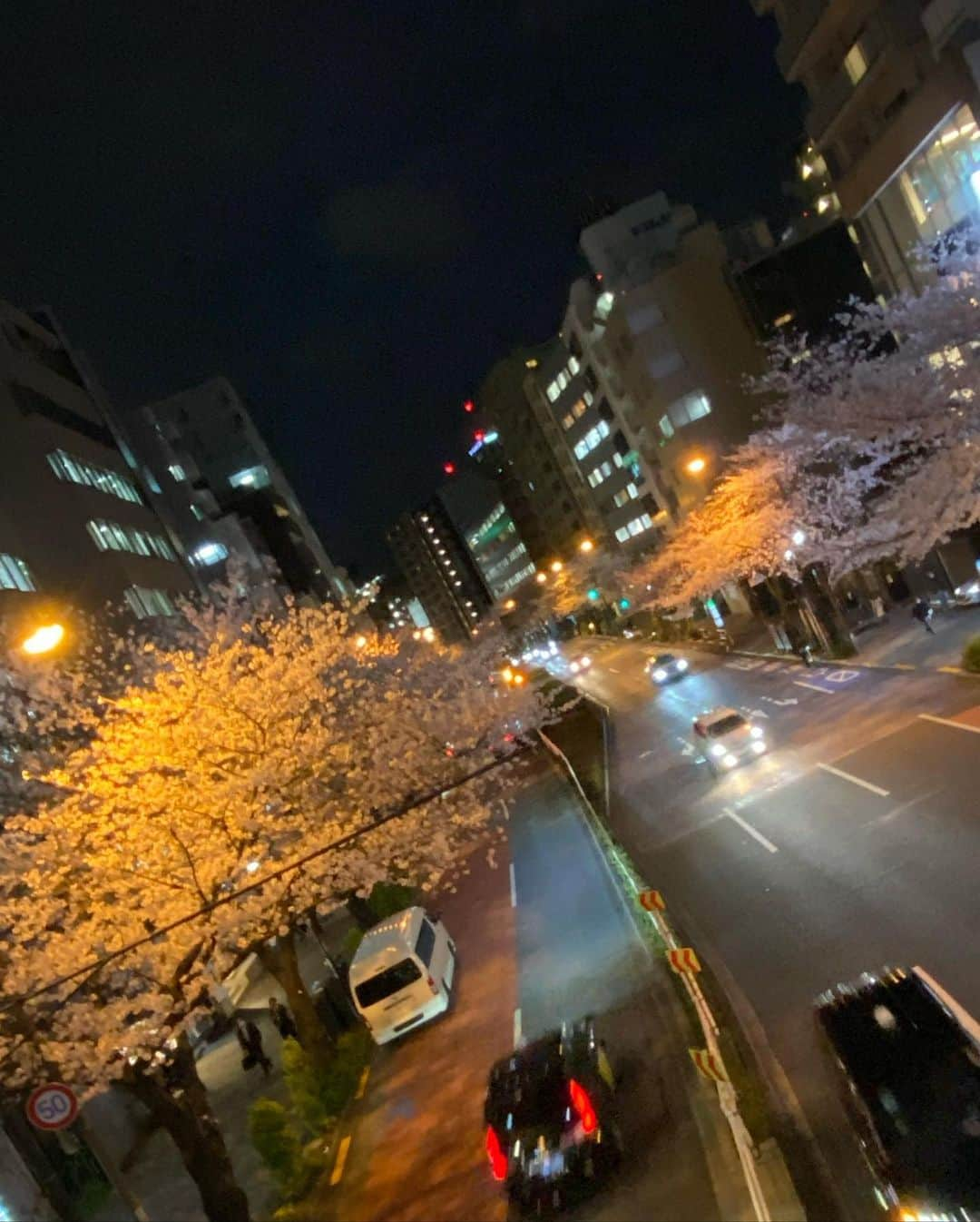 星奈あいさんのインスタグラム写真 - (星奈あいInstagram)「桜綺麗に咲いてた~🌸 今週来週が見頃かなあ、 たくさん春を吸収したいねっ⸝⸝ʚ̴̶̷̆_ʚ̴̶̷̆⸝⸝  #星奈あい #桜 #さくら #恵比寿の桜 #お花見シーズン #春到来」3月28日 23時32分 - hoshina_r18