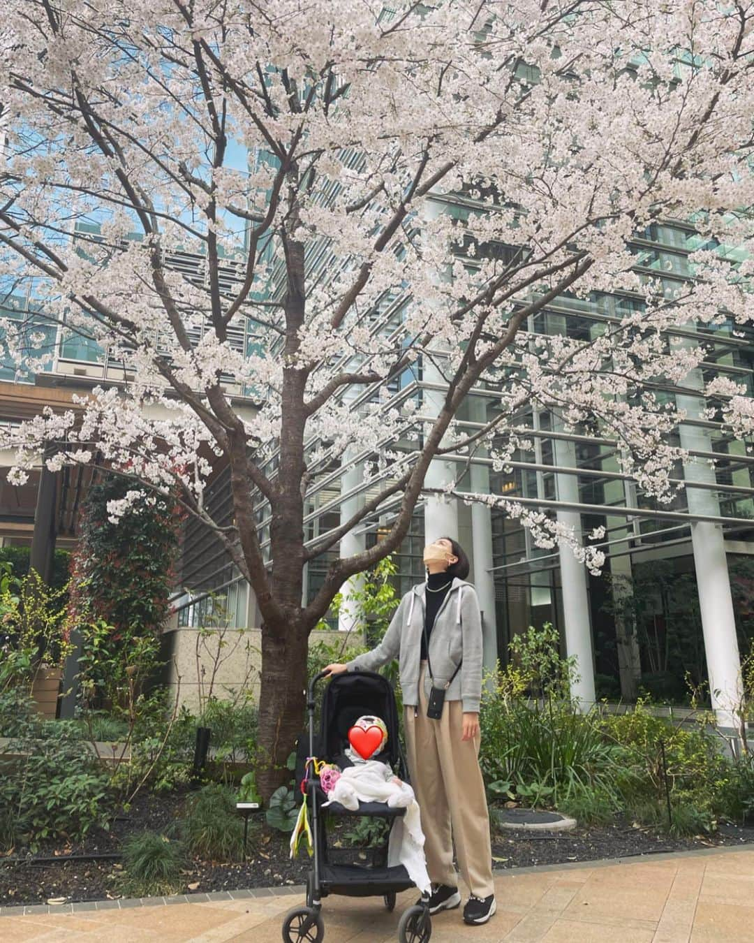 渡辺舞さんのインスタグラム写真 - (渡辺舞Instagram)「Spring is here 🌸」3月29日 9時48分 - maipu0125