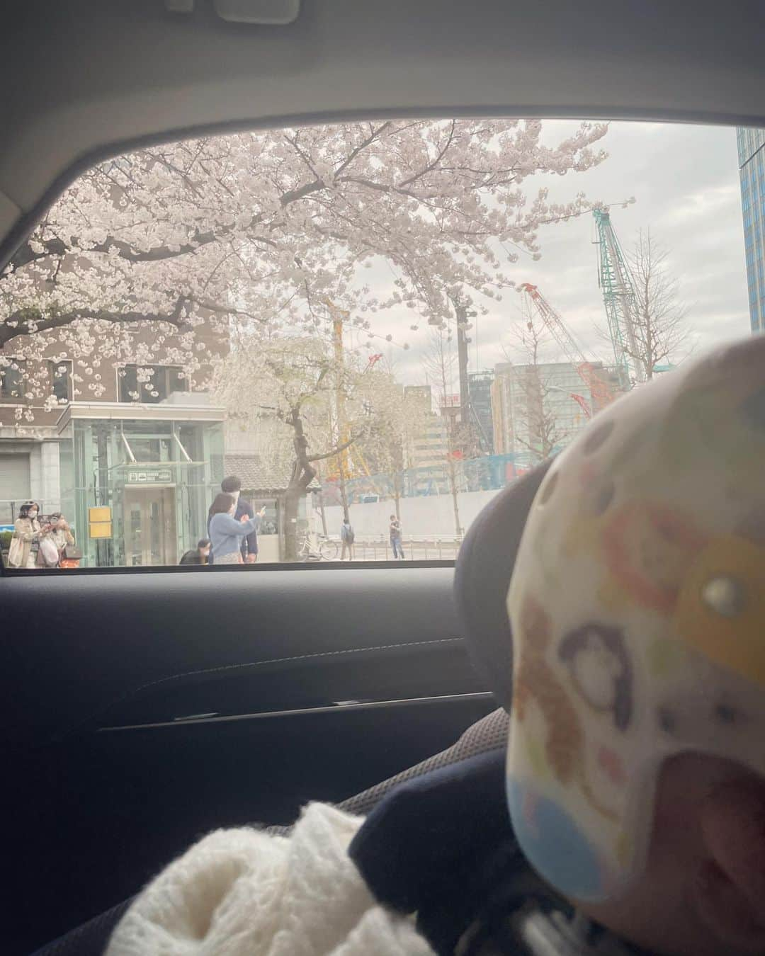 渡辺舞さんのインスタグラム写真 - (渡辺舞Instagram)「Spring is here 🌸」3月29日 9時48分 - maipu0125