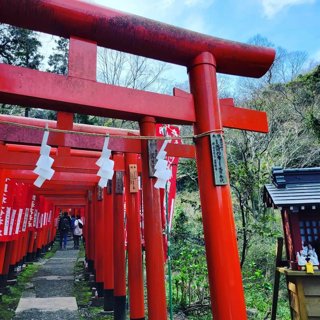 角川慶子さんのインスタグラム写真 - (角川慶子Instagram)「昨日は仕事の帰りに鎌倉の佐助稲荷へ行ってきました。もちろん私の奉納した鳥居も無事です。私の後ろの鳥居はキック★です。  桜の季節だから小町通りや駅はすごい人ですが、 横須賀線は定番のグリーン車で快適でした。 #佐助稲荷 #鎌倉#角川慶子」3月29日 11時03分 - keikokadokawa