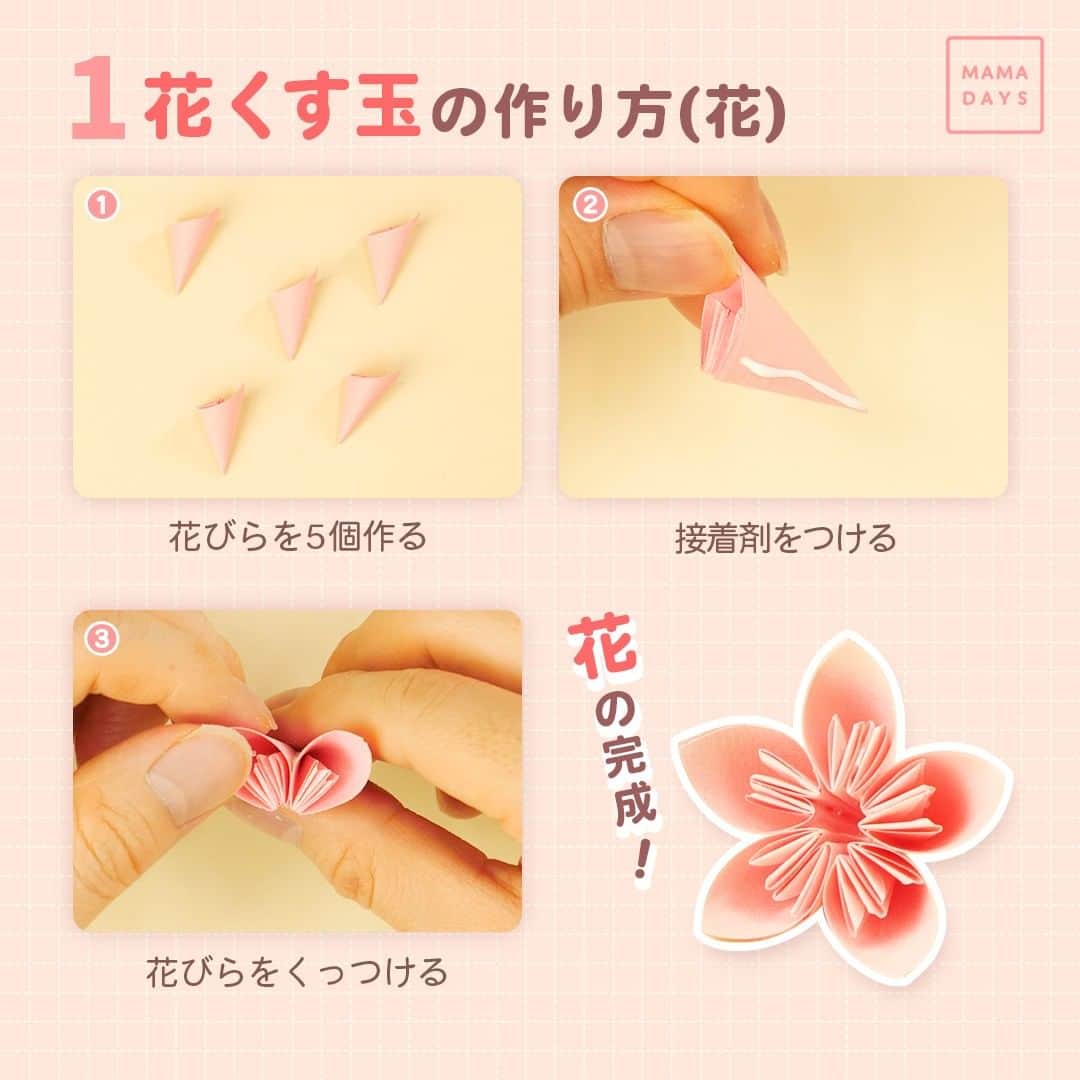 MAMA DAYS -ママデイズ- 公式Instagramさんのインスタグラム写真 - (MAMA DAYS -ママデイズ- 公式InstagramInstagram)「桜の季節、おうちでお花見気分を味わいませんか？🌸 今回は見た目も可愛い花くす玉と簡単に作れる桜の花の作り方を紹介します！ たまにはちょっと凝った折り紙を作って子どもを驚かせませんか？✨ ⠀ 【【ゲキムズ＆かんたん】 おうちでお花見　折り紙２選】 ⠀ ■花くす玉の作り方 1.15cmの折り紙を5cm角の9等分に切る 2.切られた折り紙を半分に折る 3.線に合わせて折り四角にする 4.外側に向けて折り返す 5.折り目を開いてつぶす 6.折り返す 7.線に合わせて谷折りする 8.接着剤をつけて巻く 9.花びらの完成！ 10.花びらを5個作る 11.接着剤をつける 12.花びらをくっつける 13.花の完成 14.花を12個作る 15.接着剤でくっつける 16.できた半円をくっつける 17.花くす玉の完成 ⠀ ■さくらの花の作り方 1.半分に折る 2.線に合わせて折り目をつける 3.点の位置に合わせて折る 4.線に合わせて折り返す 5.線に合わせて折り返す 6.後ろに折り返す 7.線に合わせて切る 8.一度広げる 9.線を合わせるように折りたたむ 10.同様に繰り返してたたむ 11.点線に合わせて折る 12.慎重に広げる 13.さくらの花の完成！ ⠀ ■注意事項 ※刃物を使った工程があるので、必ず保護者の方が一緒に作るようにしてください。 ⠀ 参考になったらハッシュタグ #ママデイズ をつけて教えてくださいね♪ ⠀ #mamadays #手作りおもちゃ #知育玩具 #100均diy #diyママ #手しごと #手仕事のある暮らし #針仕事 #ハンドメイド好き #ハンドメイド大好き #ペーパーファン  #保育園製作 #製作遊び #製作あそび #おうち遊び #おうち遊びを楽しもう #おうちあそび #工作 #工作大好き #工作好き #折り紙 #折り紙遊び #折り紙アート #折り紙製作 #折り紙作品 #origamiwork #折り紙キッズ #花くす玉 #おり紙」3月29日 12時01分 - tomonite_official