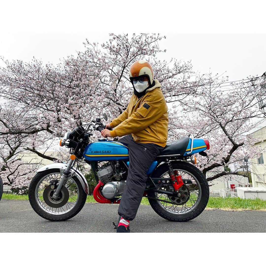 佐田正樹さんのインスタグラム写真 - (佐田正樹Instagram)「桜とマッハ  #kawasaki  #マッハ350  #350ss  #寅壱」3月29日 17時17分 - satakisama